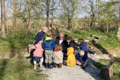 Bert Natuur VB2