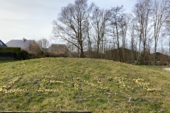 2022-NL-Doet-12-maart-2-Lente-