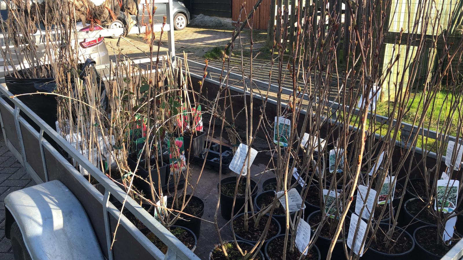 20210319_153133000_iOS