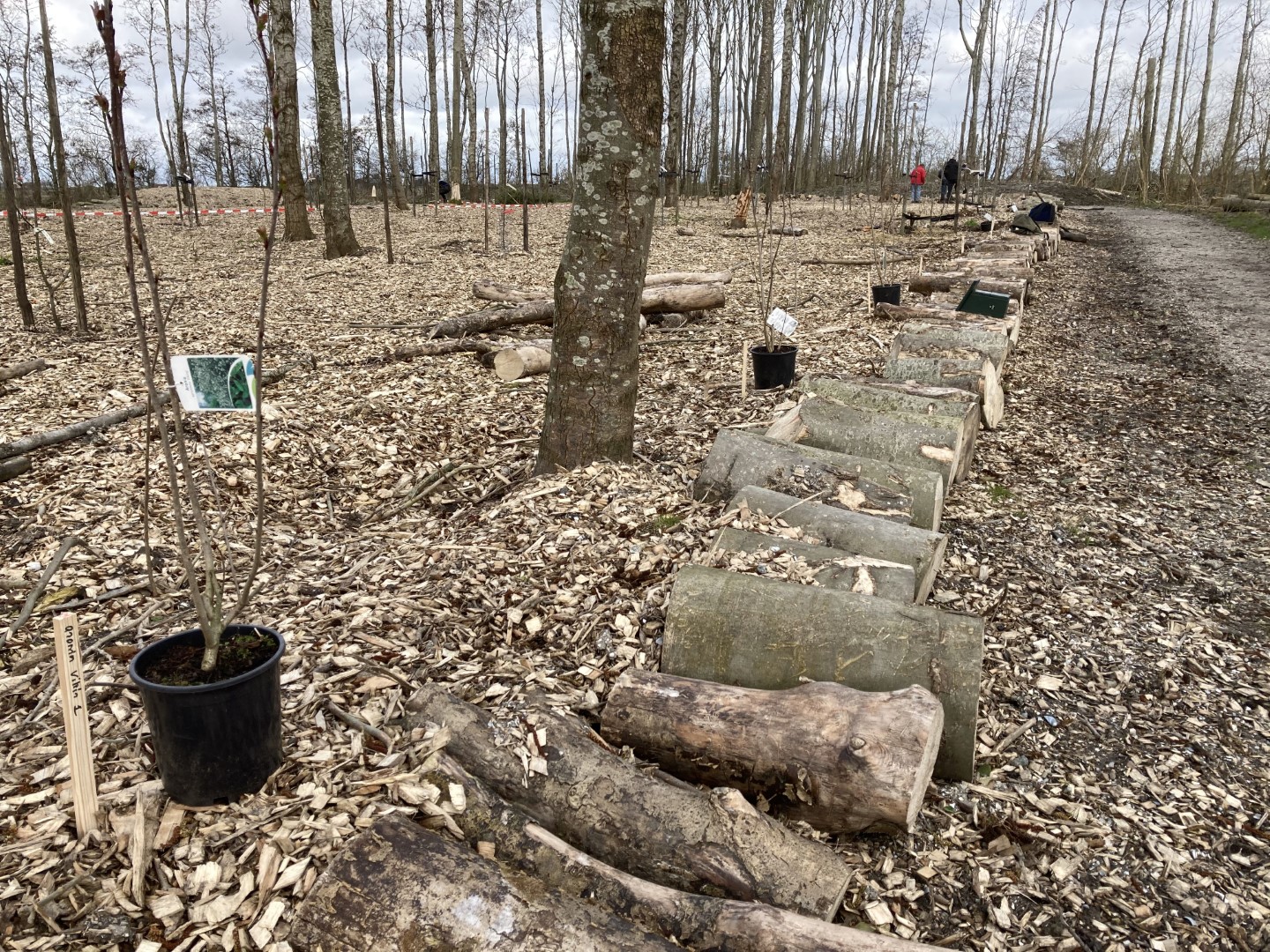 20210320_093338910_iOS