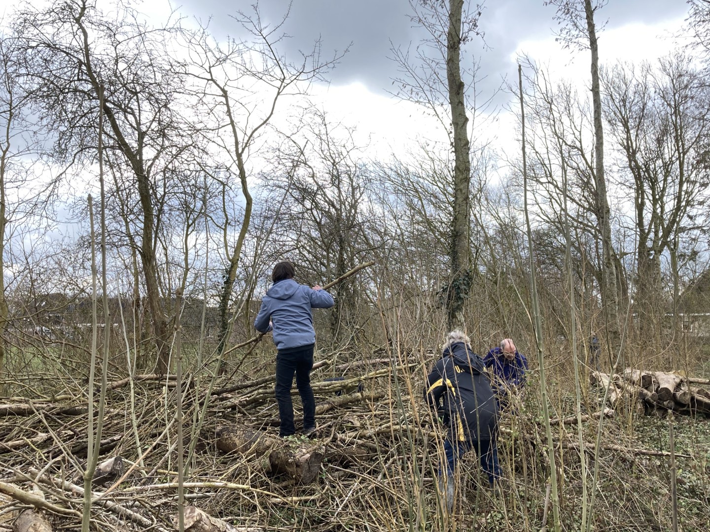 20210320_093848095_iOS