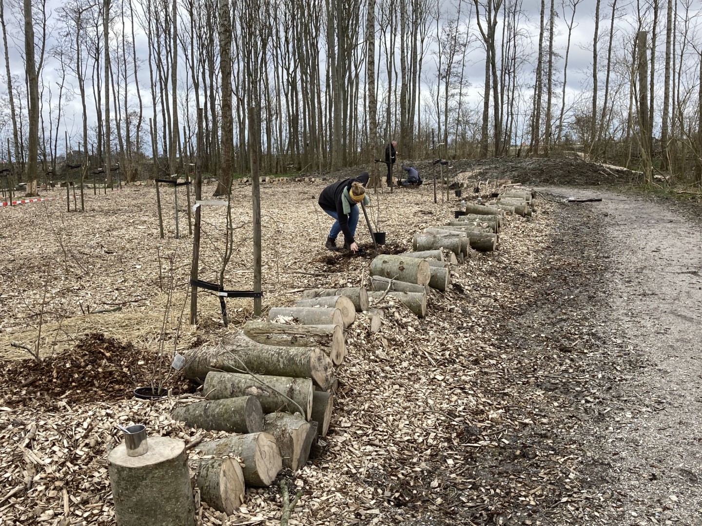 20210320_093927897_iOS