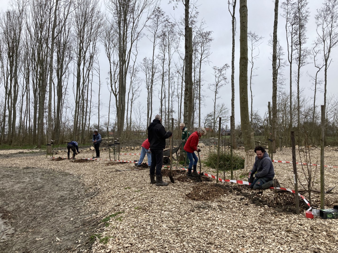 20210320_105024851_iOS